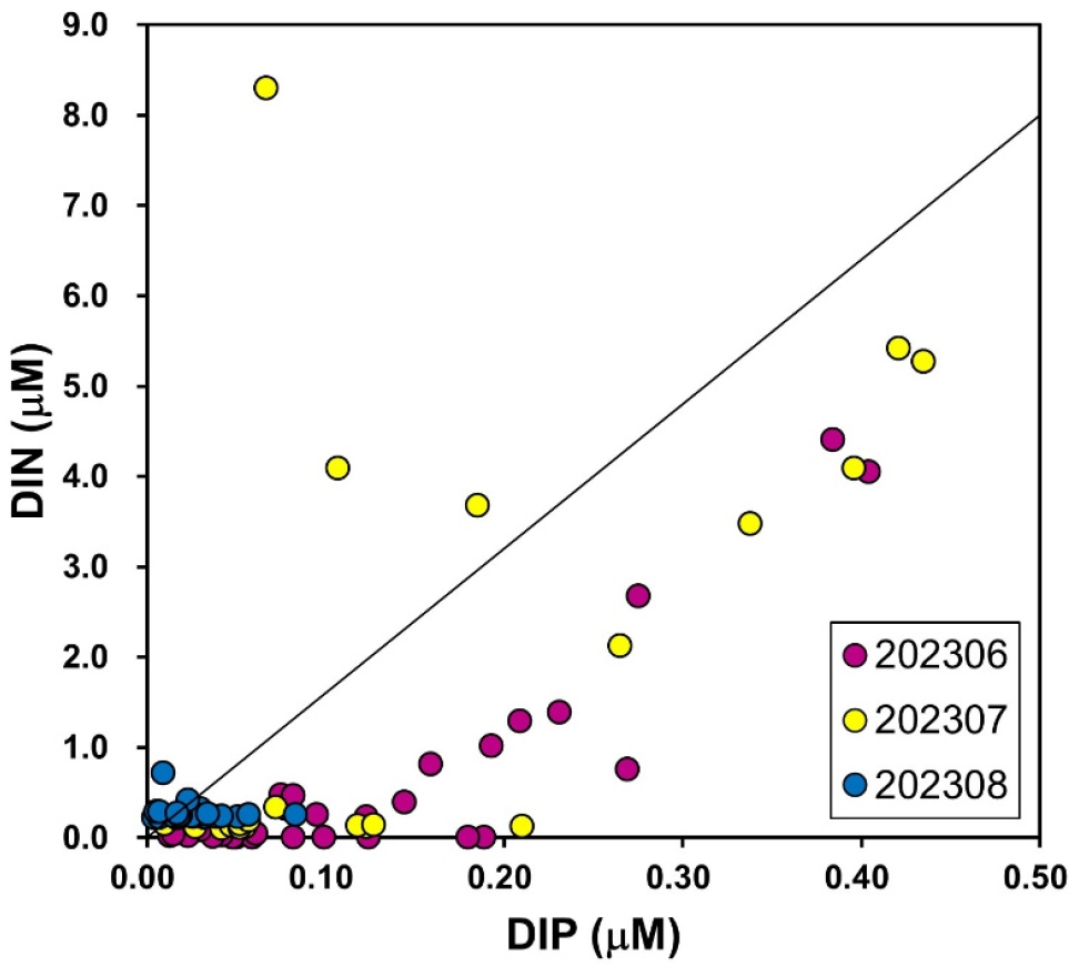 The Role of Urea as a Key Nitrogen Source Driving Phytoplankton Blooms ...